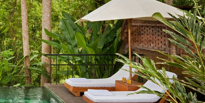 Image for The Hotel Collection